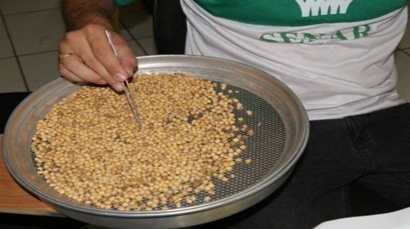 Sindicato Rural de Guarantã do Norte e Senar disponibilizam dois cursos