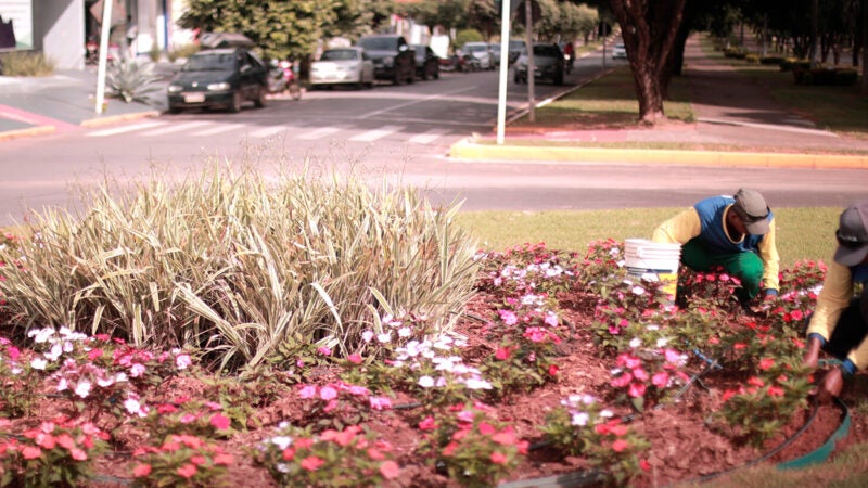 Prefeitura investe R$ 1,3 milhão em paisagismo em áreas públicas de Nova Mutum