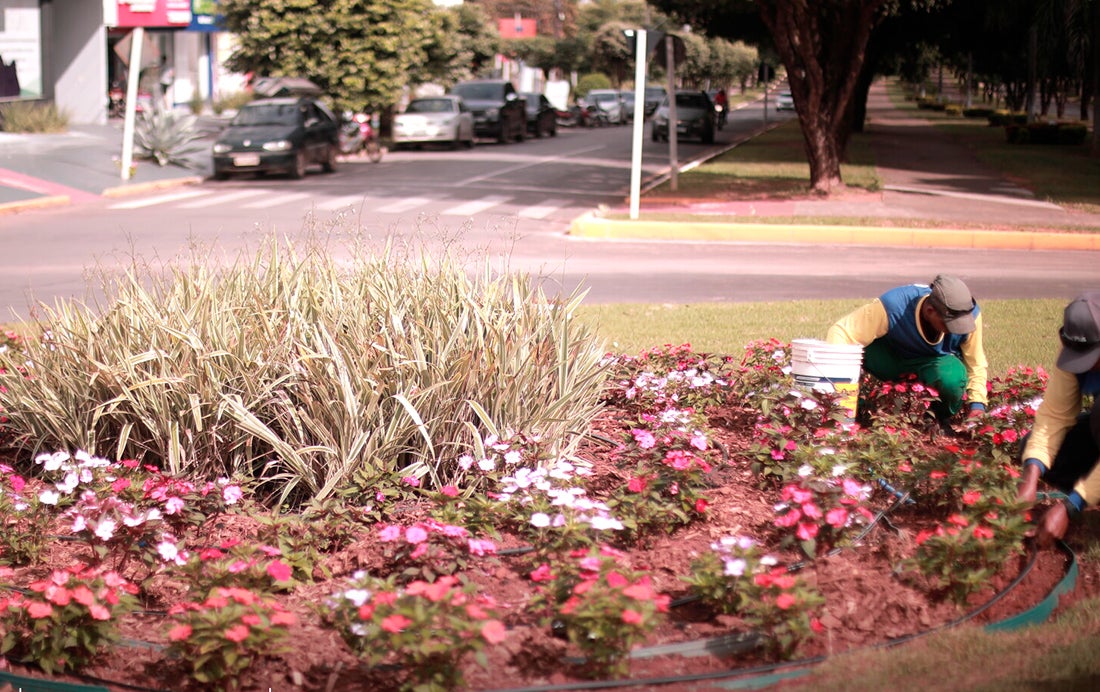 Prefeitura investe R$ 1,3 milhão em paisagismo em áreas públicas de Nova Mutum