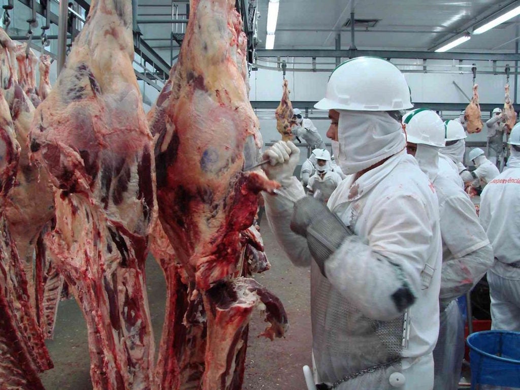 Volume de gado abatido em frigoríficos de Mato Grosso cai após 4 meses de alta