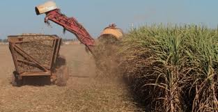 Uisa participa da Bonsucro Global Week 2022