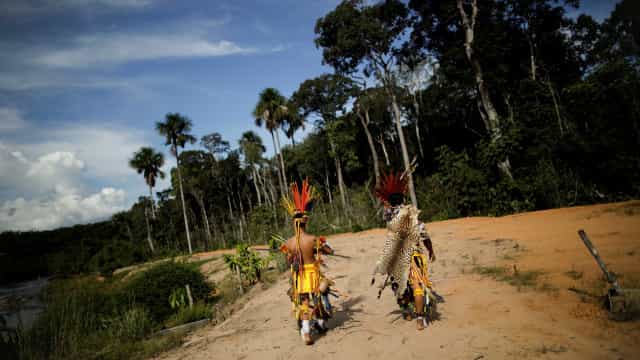 Ameaças de violência impedem grupo de 500 indígenas de votar no Pará
