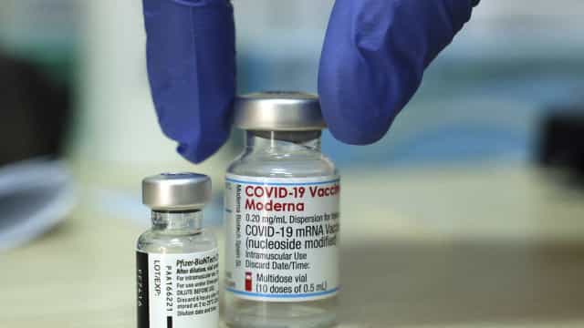 Anvisa estende prazo de validade de vacina adulta da Pfizer