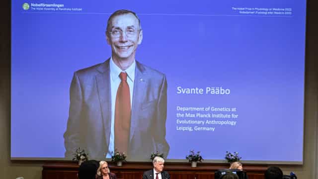 Nobel de Medicina vai para especialista em evolução humana Svante Pääbo