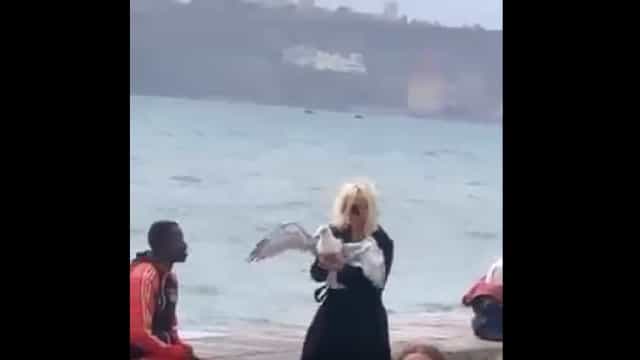 Mulher detida após tentar torcer pescoço de gaivota em Lisboa