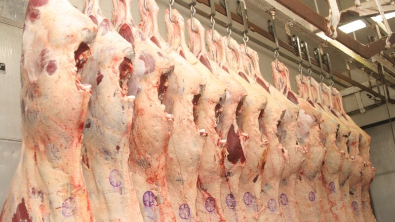 Carne mato-grossense vendida em dólar cai para última colocação no mercado externo, diz instituto
