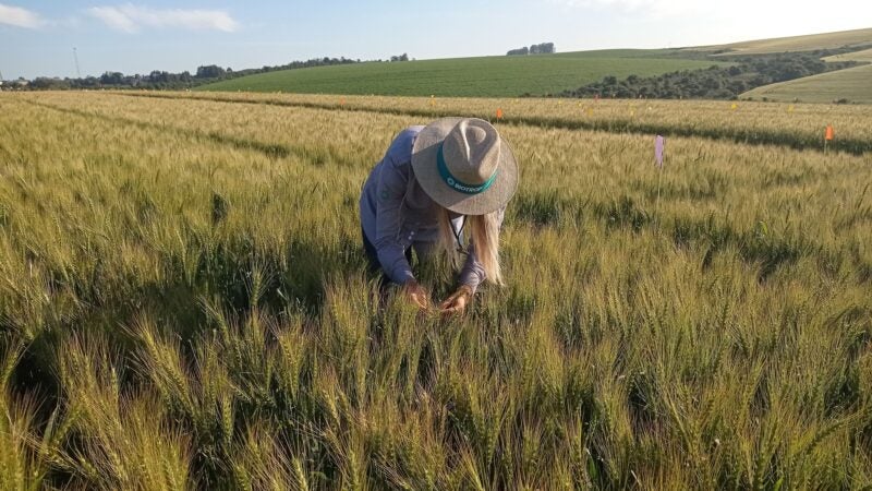 Biotrop investe R$ 92,5 milhões em sustentabilidade no primeiro ano