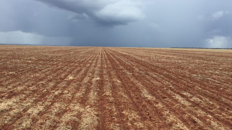 Especialista orienta sobre como alavancar a produtividade do milho