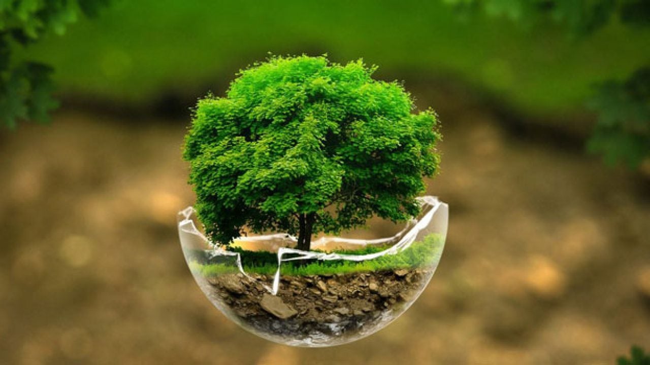 O Polo da UniCV de Guarantã do Norte oferece o curso de Gestão Ambiental