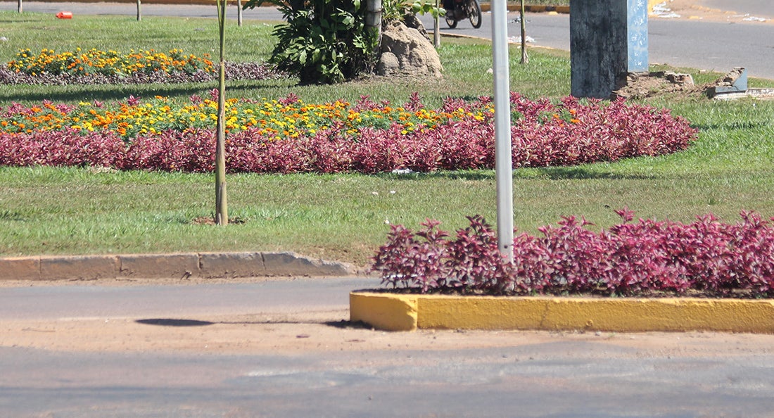 Prefeitura deve destinar mais de R$ 900 mil para paisagismo de espaço públicos em Sinop