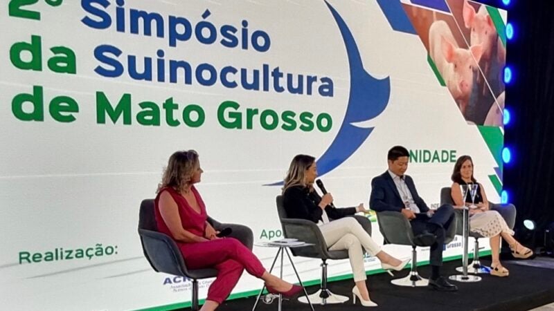 Lideranças avaliam medidas para fortalecer suinocultura em MT; ambiente adequado aumenta ganho de peso