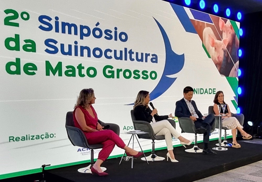 Lideranças avaliam medidas para fortalecer suinocultura em MT; ambiente adequado aumenta ganho de peso