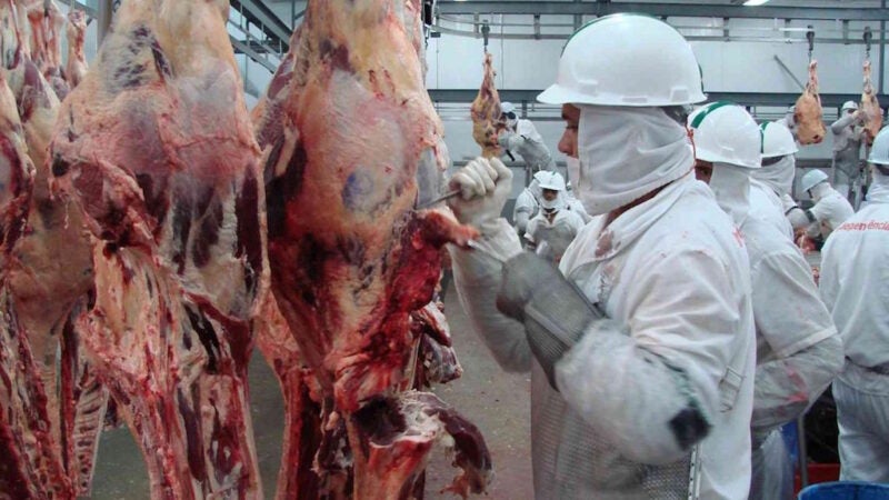 Abate de bovinos cai 12% em MT e tendência é aumentar devido maior consumo de carne em dezembro