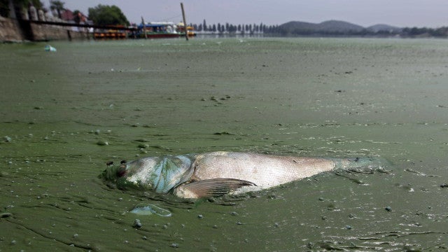 UE faz oferta surpresa para compensar danos causados por desastres climáticos