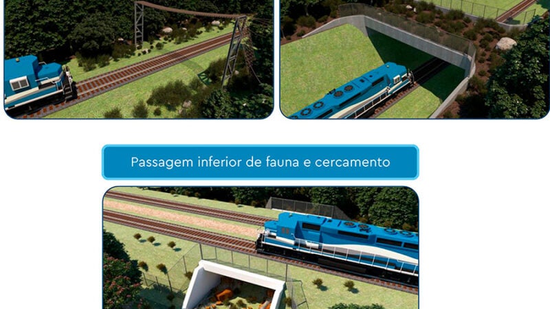 MPF considera histórica a consulta de povos indígenas para construção de ferrovia pelo Governo de MT