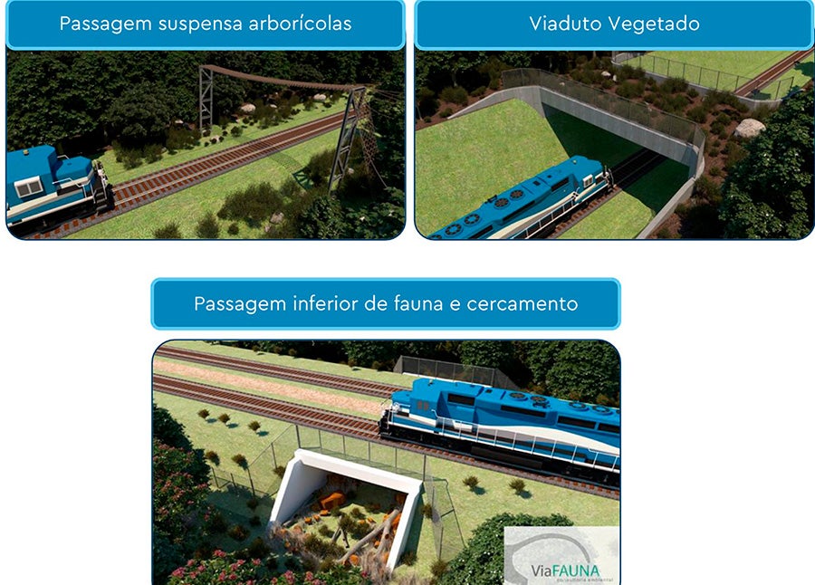 MPF considera histórica a consulta de povos indígenas para construção de ferrovia pelo Governo de MT