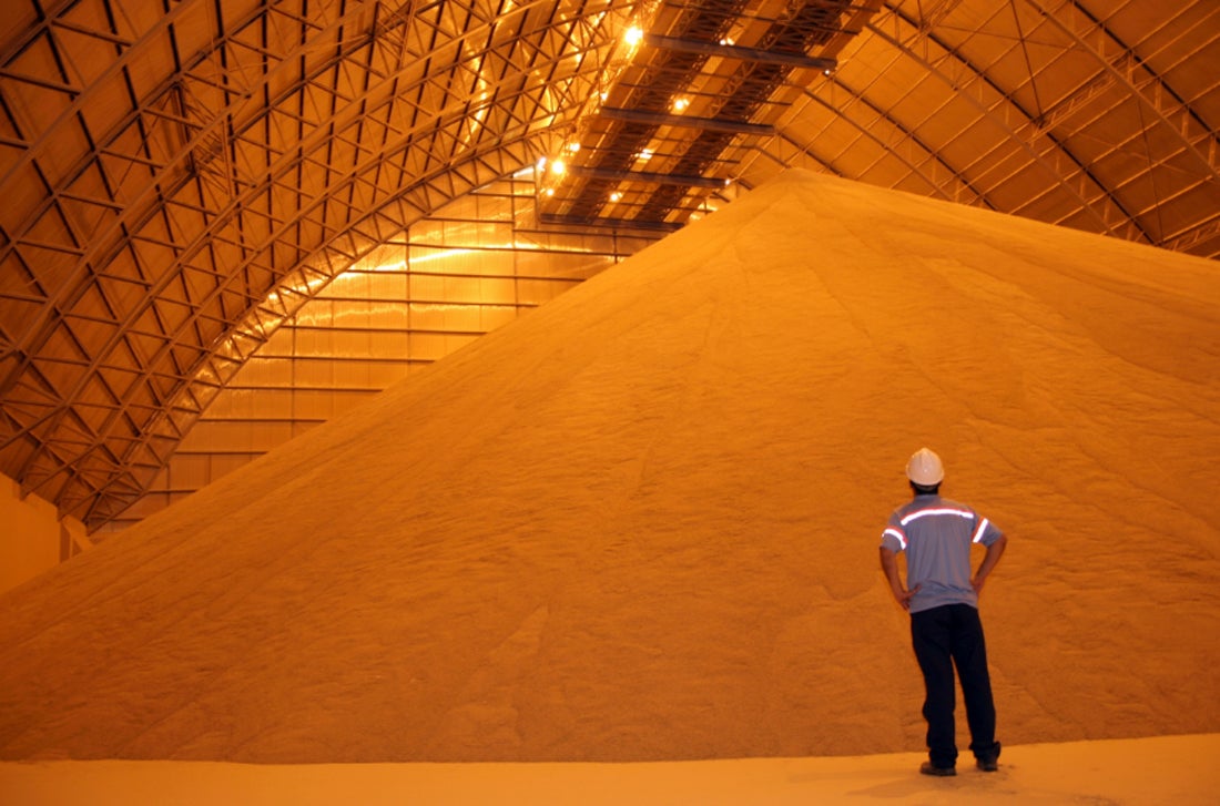 Mato Grosso deve ter novo recorde na venda de soja no exterior, indica IMEA