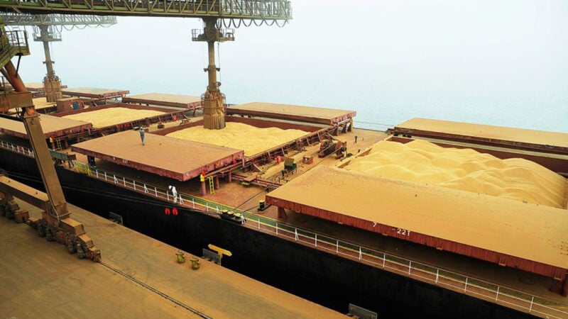 Cotação da paridade de exportação do milho de Mato Grosso no mercado futuro tem queda