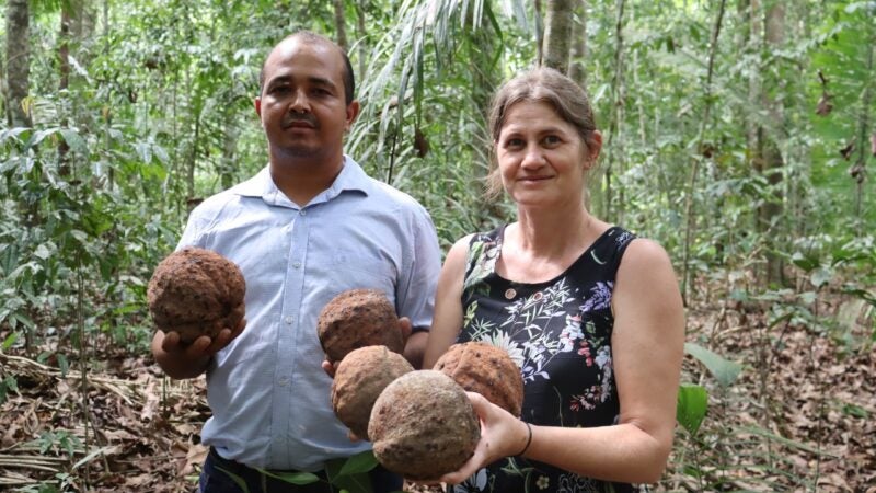 Programa REM MT recebe reforço de R$ 15,2 milhões para atender mais organizações em chamada de projetos