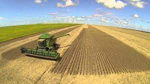 MT constata abertura de novas empresas e prevê aumento da produção da safra em até 28,8%