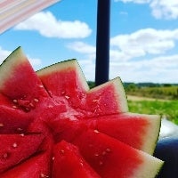 Melancia: com receio das chuvas, produtores adiantam safra na BA