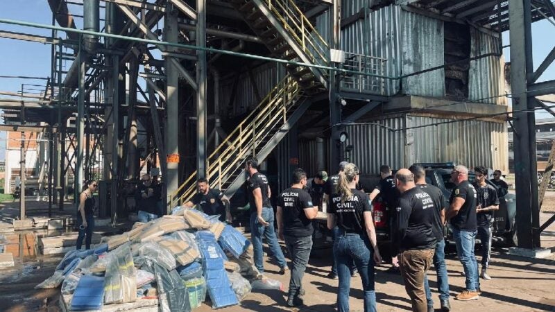 Delegacia de Entorpecentes incinerou mais de 7 toneladas de drogas este ano