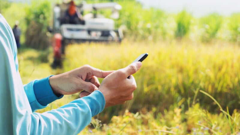 Software é o segredo da eficiência de produtor na gestão agrícola