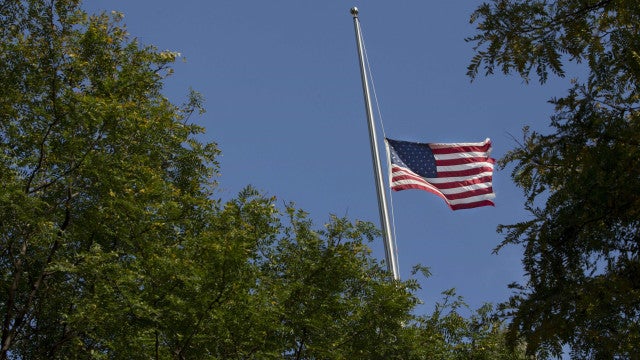 Câmera capta o momento em que urso rouba encomenda de uma varanda nos EUA