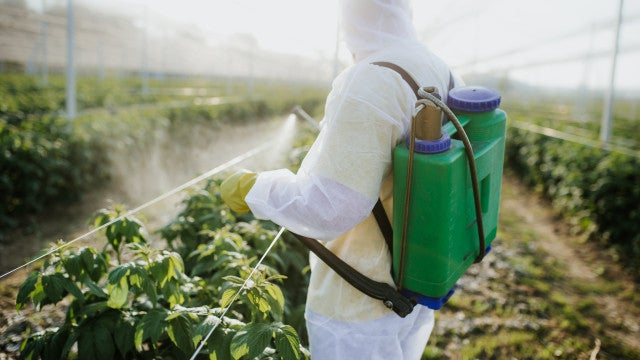 Bancada ruralista tenta liberar mais agrotóxicos no País na última semana do ano