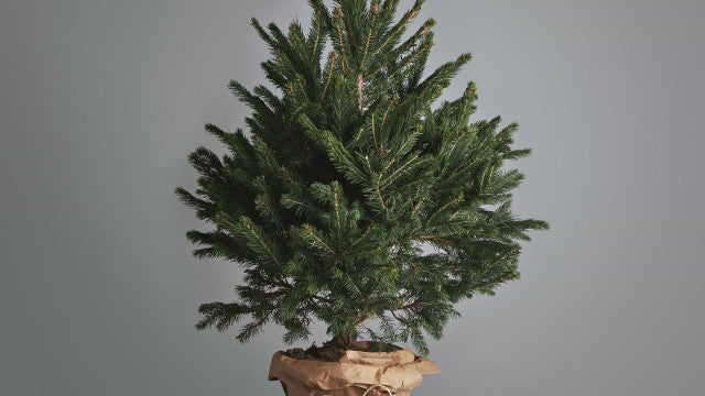 Endividado, consumidor tende a abandonar compra por impulso no Natal