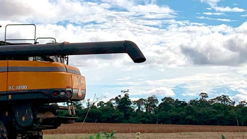 Colheita da soja em Mato Grosso começa em ritmo lento devido as chuvas
