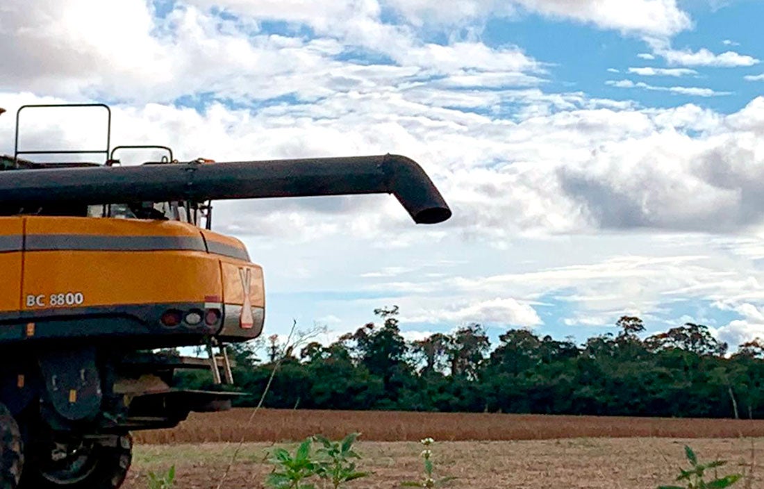 Colheita da soja em Mato Grosso começa em ritmo lento devido as chuvas
