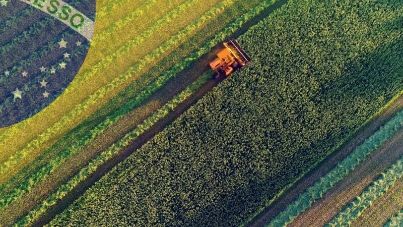 Dados revelam os principais obstáculos enfrentados pelo produtor brasileiro em 2022