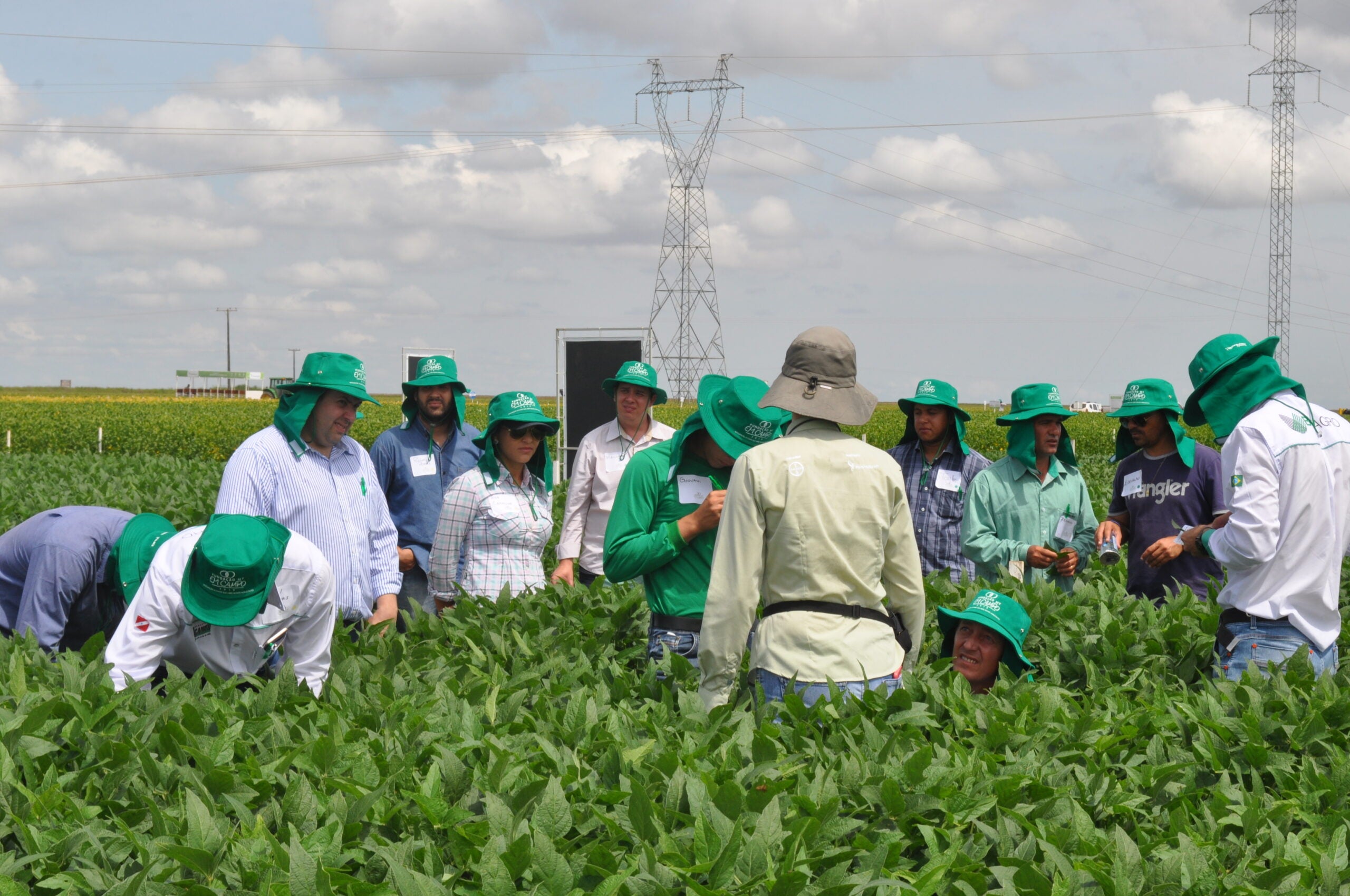 Dias de campo da Fundação MT difundem informações estratégicas para a safra de soja