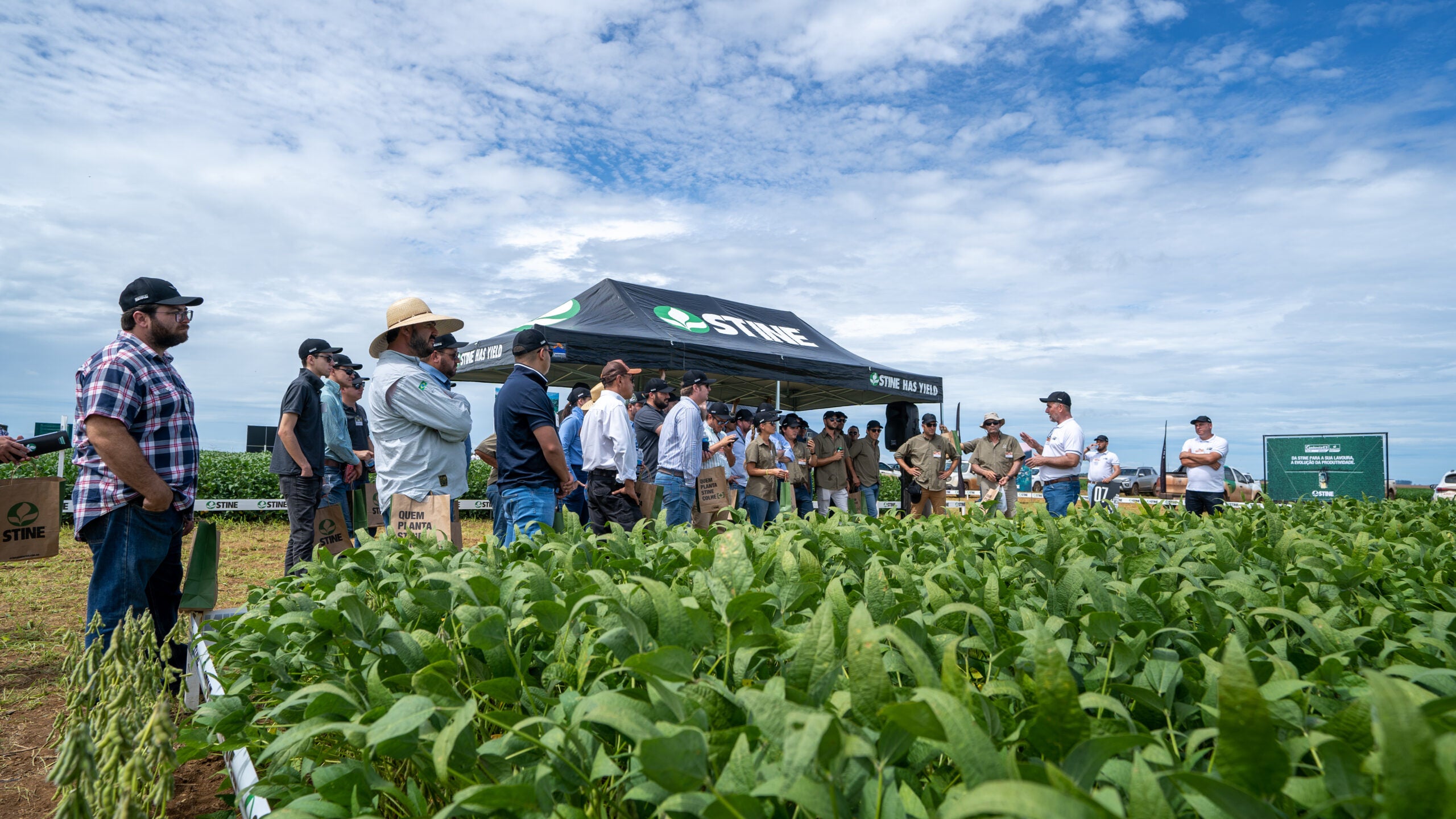 Stine, líder em genética de soja nos Estados Unidos, chega ao mercado brasileiro com novas variedades