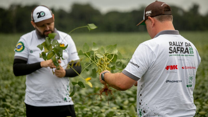 Com aumento de 19%, safra de soja é estimada em 153,4 milhões de toneladas, apesar da ameaça de clima irregular no Sul