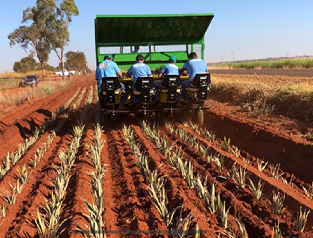 SEAF destinará plantadeira de abacaxi para produtores de Guarantã do Norte a pedido do vereador Zilmar