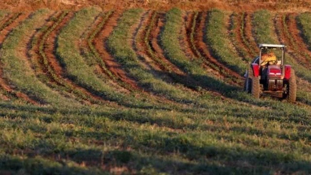 ‘Preservação é a galinha dos ovos de ouro do agro’, diz ministro da Agricultura
