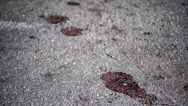 Tatuador morre após ser atropelado três vezes seguidas em Santa Catarina