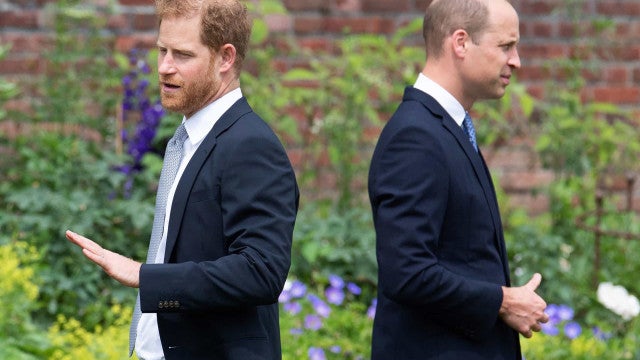 Príncipe William está furioso com acusações feitas por Harry em livro, diz site