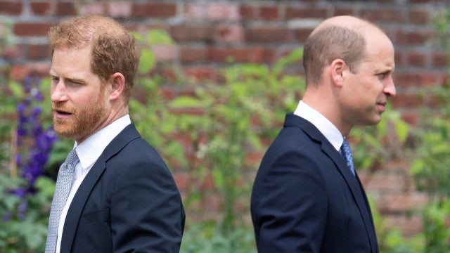 Ataques de fúria: famosos que partiram para brigas físicas!