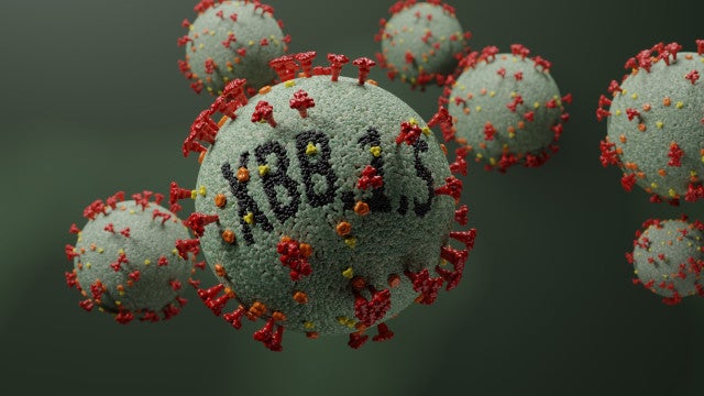 Covid-19: Fiocruz alerta para possível avanço da variante XBB no Brasil