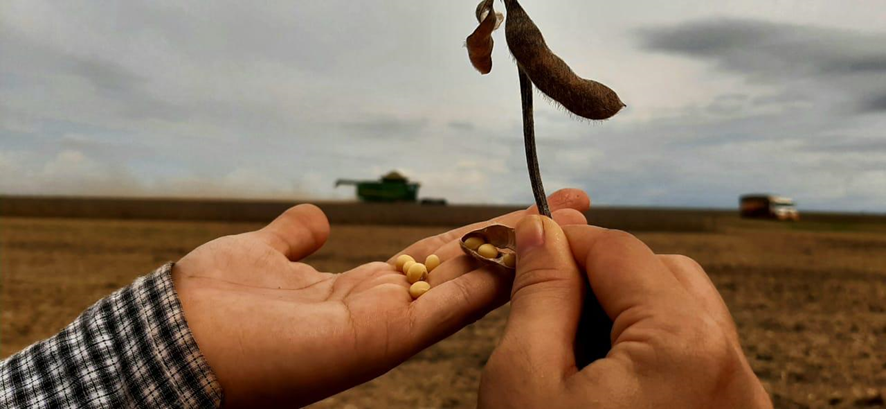 Estudos apoiados pelo REM MT identificam impactos da produção diversificada no Cerrado