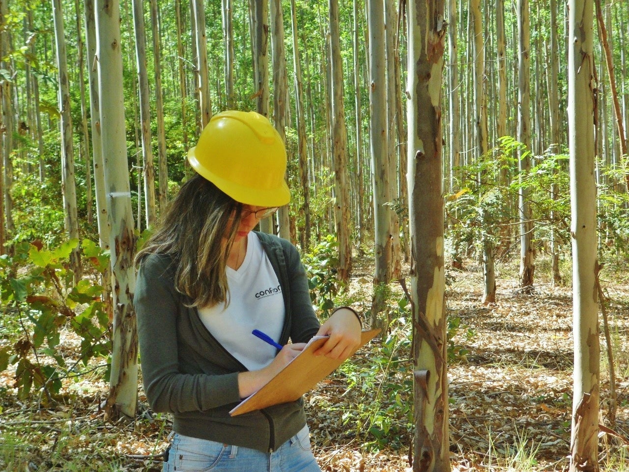 Dia do Engenheiro Florestal: como a profissão reduz impactos e pensa no futuro