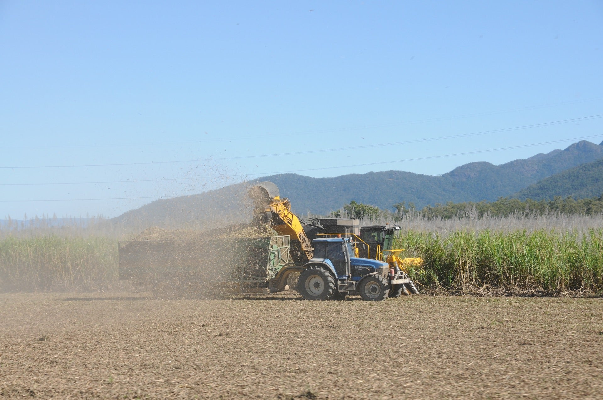 Suporte técnico é o caminho para capacitação da mão de obra no campo