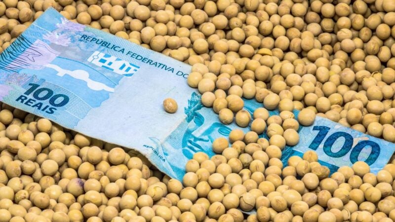 Com a pressão da colheita, sojicultor precisa de gestão financeira para garantir bons preços em 2023