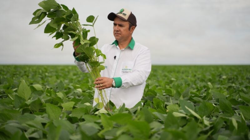 Norte Show 2023 terá inovação com produtos biológicos para o agronegócio