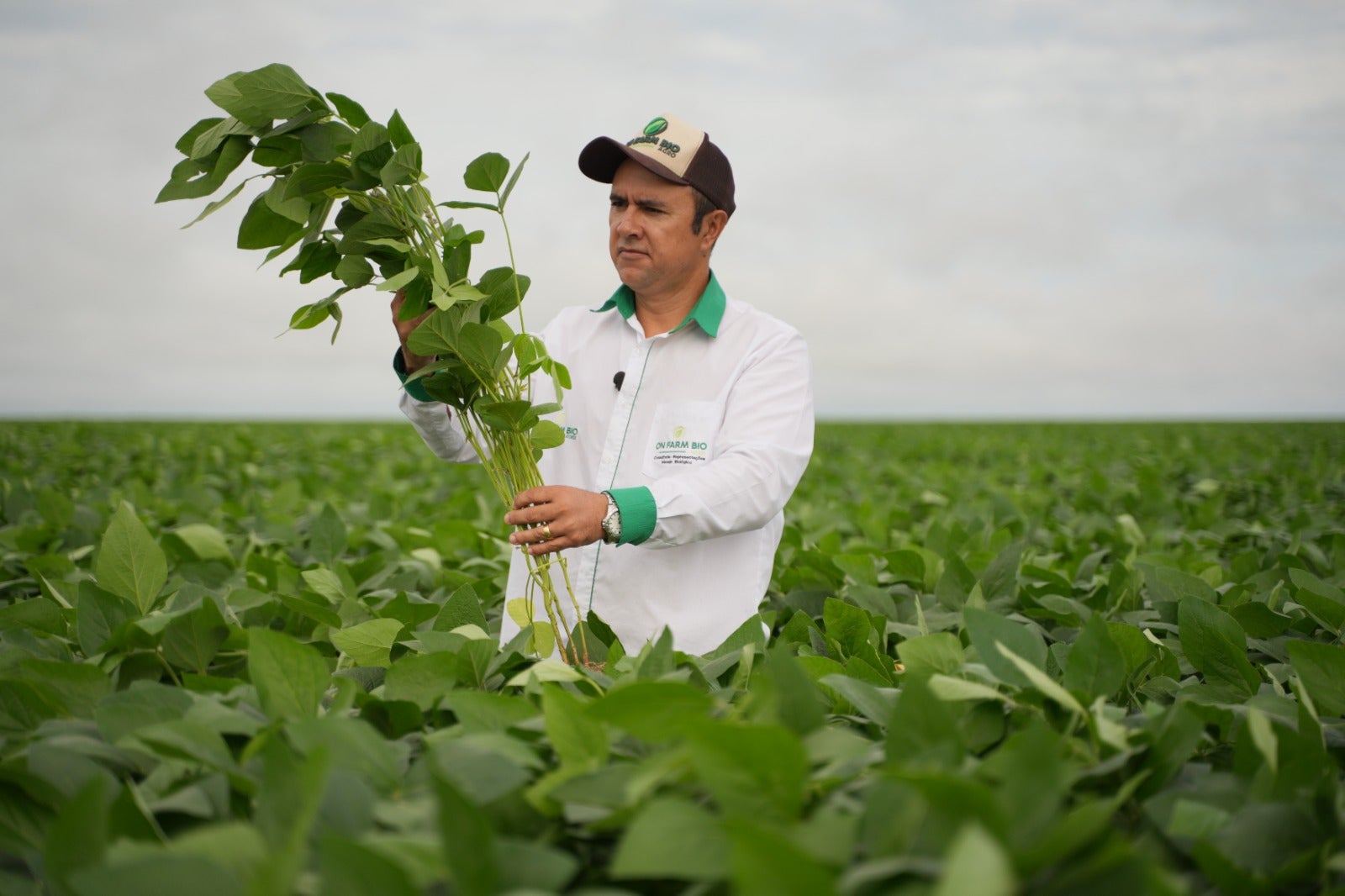 Norte Show 2023 terá inovação com produtos biológicos para o agronegócio