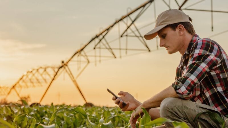 Big Data e Machine Learning no agro serão destaques no Show Rural