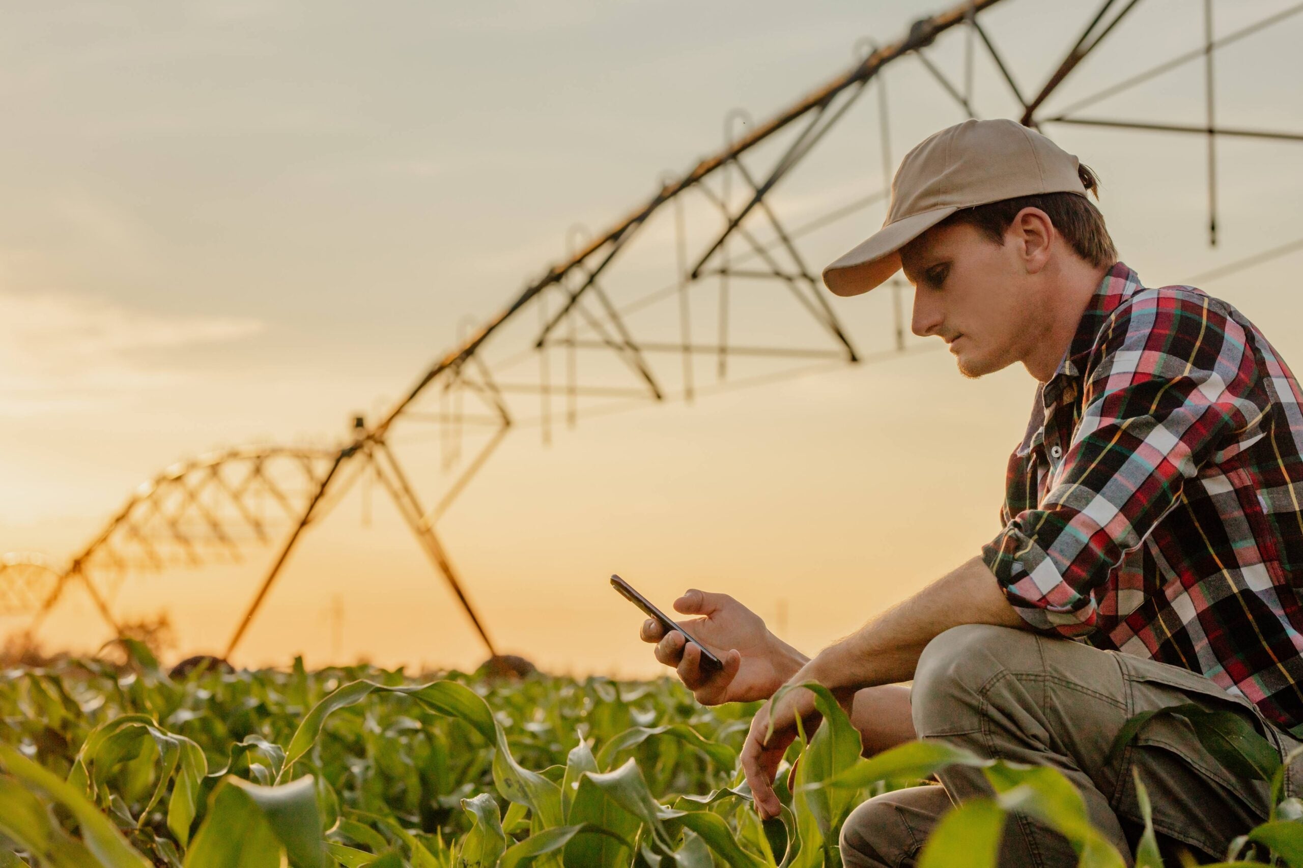 Big Data e Machine Learning no agro serão destaques no Show Rural
